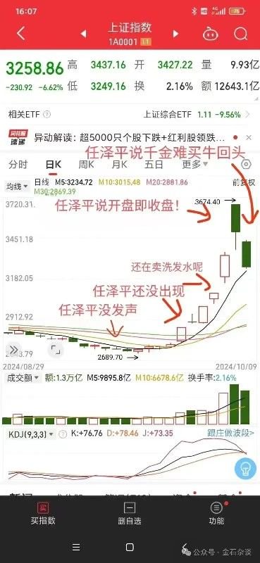 _任泽平最新观点2017_吴晓波任泽平